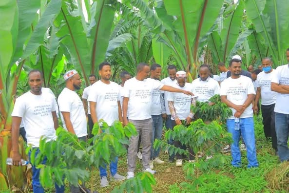 በምስራቅ አዘርነት በርበሬ ወረዳ ዋና አስተዳዳሪ በአቶ ከይሬ ሀቢብ የተመራው የወረዳው አመራር አካላት በምስራቅ ስልጢ ወረዳ በመገኘት በግብርናው ዘርፍ የተሰሩ ስራዎች ላይ የልምድ ልውውጥ አደረጉ!